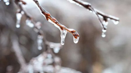 Külək güclənəcək, şaxta olacaq &ndash; SABAHIN HAVASI