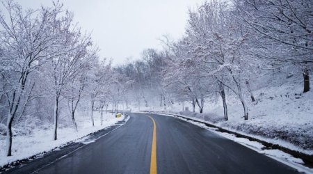 Avtomobil yollarında vəziyyət necədir?