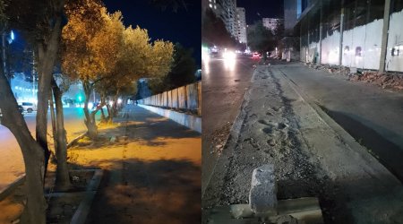 Xırdalanda tikintiyə görə ağaclar kəsildi &ndash; FOTO