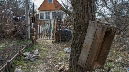 Rusiyanın bu regionlarında kəndlər kütləvi şəkildə yoxa çıxır