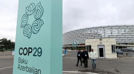 COP29 Azərbaycan Əməliyyat Şirkəti ləğv edildi