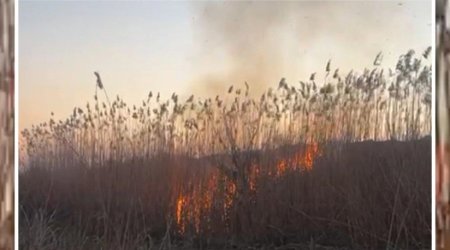 Cəbrayıl və Füzulidəki yanğınlar söndürüldü - VİDEO