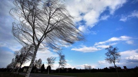 FAKTİKİ HAVA: Güclü külək əsir, qar yağır