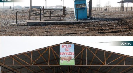 İmişlidə heyvan bazarı açıldı &ndash; FOTO