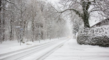 Bu rayonlara qar yağır - FAKTİKİ HAVA