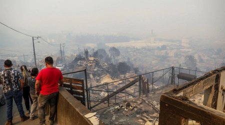 Bu ölkədə meşə yanğınları: 15 ölü var