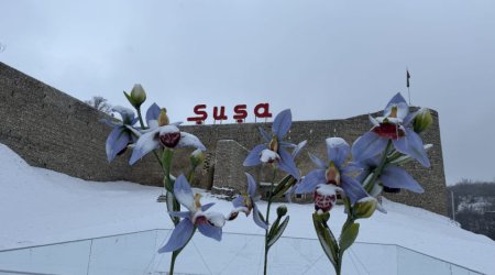 Şuşa yenidən ağ örpəyə büründü - FOTO