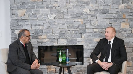 Prezident Davosda ÜST-nin Baş direktoru ilə görüşdü - FOTO/VİDEO