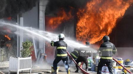 Dərnəgüldəki yanğının fəsadları ilə bağlı RƏSMİ AÇIQLAMA - VİDEO