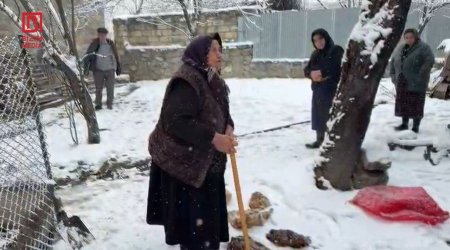 Şəkidə onlarla ailə TƏHLÜKƏ qarşısında - Ev quşlarının qənimi tapılacaqmı? &ndash; FOTO/VİDEO