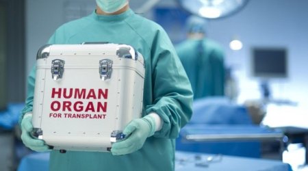 Azərbaycanda robotik böyrək transplantasiyası HƏYATA KEÇİRİLƏCƏK