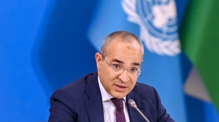 Mikayıl Cabbarov Davosda "Coca-Cola"nın rəsmisi ilə görüşüb - FOTO