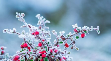 Sabah hava necə olacaq? &ndash; PROQNOZ