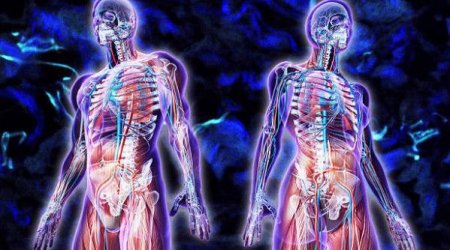 İnsanın gücü neçə yaşından azalmağa başlayır?