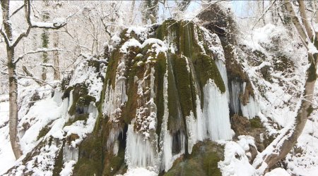 İlisu Milli Parkında qış lövhələri - FOTO