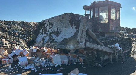 İrandan Azərbaycana gətirilən 1680 kq nuqa məhv edildi &ndash; SƏBƏB &ndash; FOTO