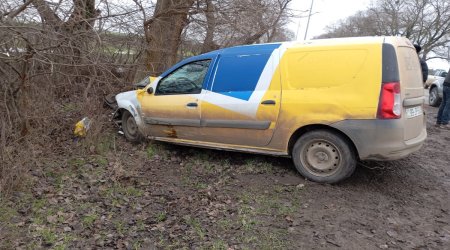 Cəlilabadda "Azərpoçt"un maşını ağaca çırpılıb, sürücü xəsarət alıb - FOTO