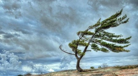 Küləkli hava şəraiti ilə bağlı sarı xəbərdarlıq VERİLDİ