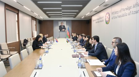 Azərbaycanla Serbiya arasında siyasi məsləhətləşmələr KEÇİRİLDİ - FOTO