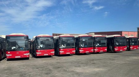 Bakıda yeni marşrut xətləri açılacaq - RƏSMİ