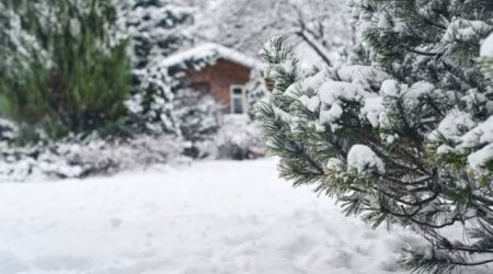 Bu əraziyə 36 sm qar yağıb - FAKTİKİ HAVA