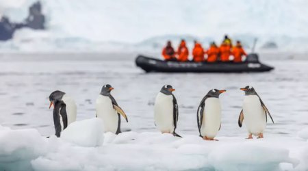 Antarktidada iş elanı - 70 min manat maaş, limitsiz yemək...