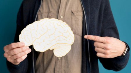 Beynin qocalması hansı yaşdan başlayır?