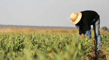 Fermerlərə ŞAD XƏBƏR!