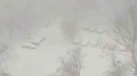 Moskva hava limanlarında təxminən 50 reys GECİKİR - VİDEO