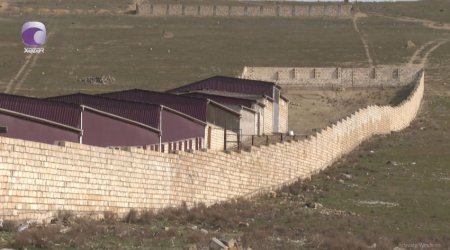 Novxanıda ferma sahibi ilə sakinlər arasında NARAZILIQ - VİDEO