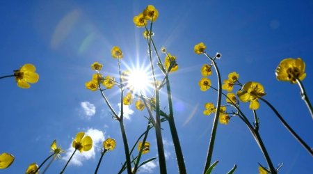 Fevralda 20 dərəcə isti - Bahar havası neçə gün davam edəcək?