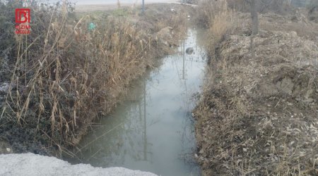 Kürdəmirdə 60 yaşlı kişinin meyiti su kanalından TAPILDI - FOTO