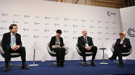 Prezidentin Almaniyaya səfəri ilə bağlı VİDEO paylaşılıb