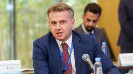 Azərbaycan Serbiyanın enerji problemini necə həll etdi? - Aleksandar Miticdən EKSKLÜZİV AÇIQLAMA