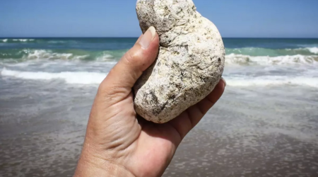 Adi bir daş kimi görünür, sahildə tapan varlanır - FOTO