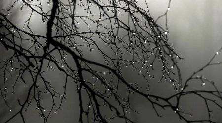 Sabahın HAVASI: Çiskin, qar...