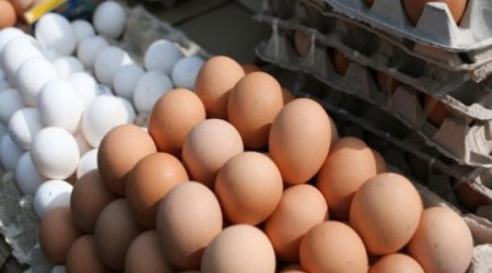 Yumurta ucuzlaşacaq - BU TARİXDƏN