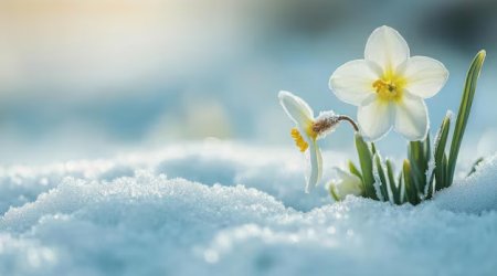 Sabah qar yağacaq, yollar buz bağlayacaq &ndash; PROQNOZ