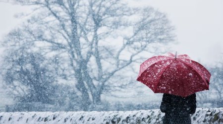 Güclü külək əsir, qar yağır - FAKTİKİ HAVA