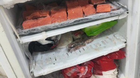 Bakıda suşi emalı müəssisəsinin fəaliyyəti DAYANDIRILDI - FOTO