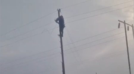 Güclü küləyin yaratdığı fəsadlar aradan qaldırıldı