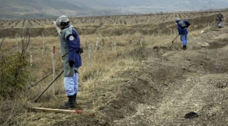 Ötən həftə 4264 hektar ərazi minalardan təmizlənib