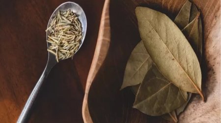 Mart ayının 4 günündə dəfnə yarpağı yandırın: həyatınız kəskin dəyişə bilər