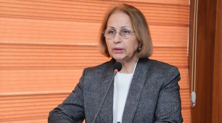 Sədr müavini: &ldquo;Deputatlardan biri demişdi ki, bu qanun qəbul olunsa, istefa verəcəm&rdquo;