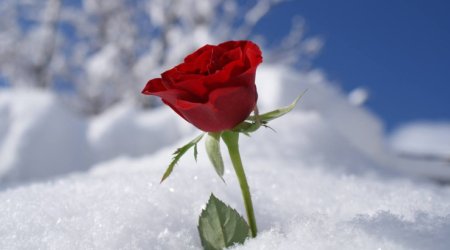 Külək əsəcək, qar yağacaq... &ndash; 8 Mart HAVASI