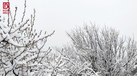 Şəkiyə gedənləri bu mənzərə gözləyir &ndash; FOTO/VİDEO
