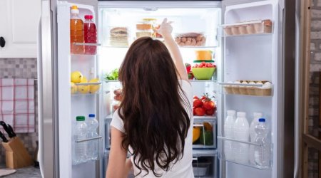 5 ən pis soyuducu markası - 2026-cı ilin anti-reytinqi