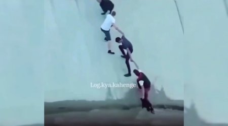 İti xilas edənlərə heykəl qoyuldu - VİDEO