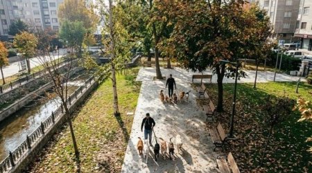 Gördüyü işdən ayda 7500 qazanır: Heç bir xərci yoxdur, qazancı özünə qalır