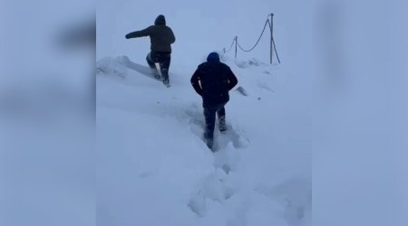 Laçına dizə qədər qar yağdı - VİDEO